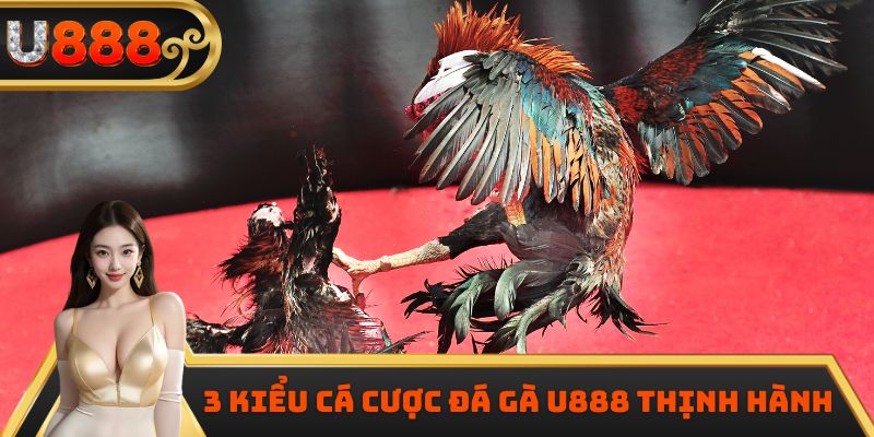 3 kiểu cá cược đá gà U888 thịnh hành