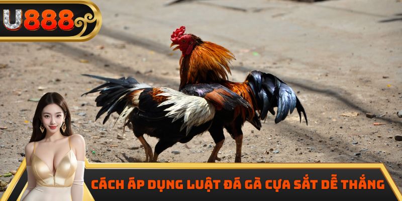 Cách áp dụng luật đá gà cựa sắt dễ thắng