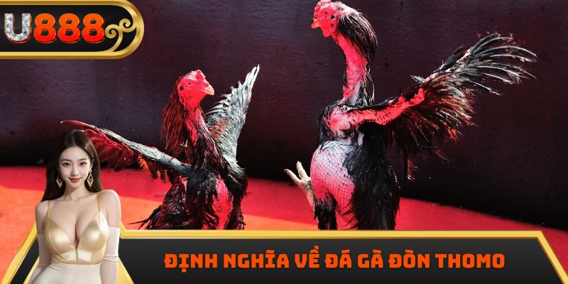 Định nghĩa về đá gà đòn Thomo